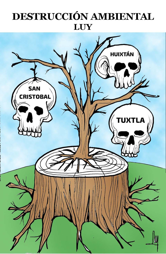 Colaboración de LUY