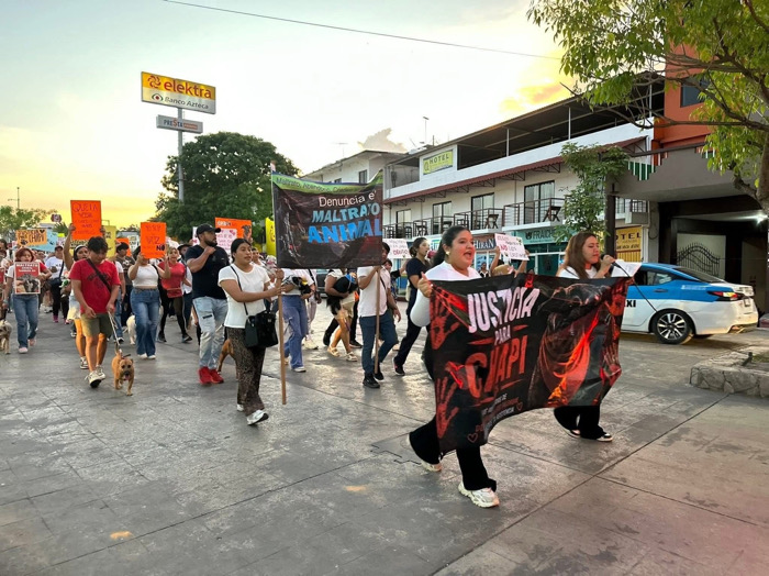 Exigen investigación por muerte de “Chapi”, perrita comunitaria de Palenque