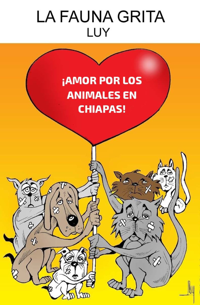 Colaboración de LUY
