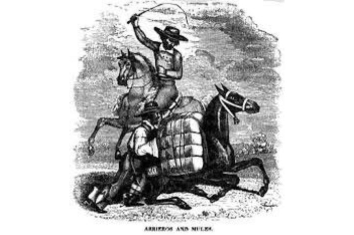 Toniná y el capitán Dupaix 1807 / Crónicas de frontera