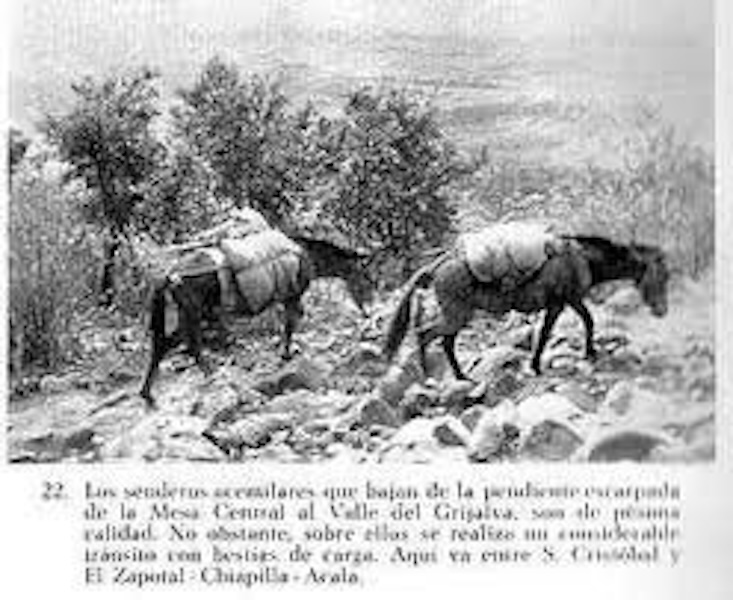 Desde Ocosingo excursión a Toniná / Crónicas de frontera